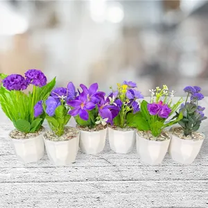 6 PAKET BUNGA SERBA UNGU Plastik Pot