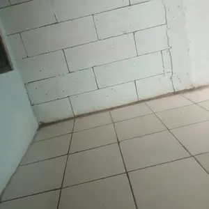 ( BISA COD ) PROMO Mainan Anak Dinosaurus Dino Loncat Jumping Bisa Jalan Binatang Liar Buas Wild Animal / Mainan Anak Laki Laki / Mainan Anak Perempuan SNI Murah