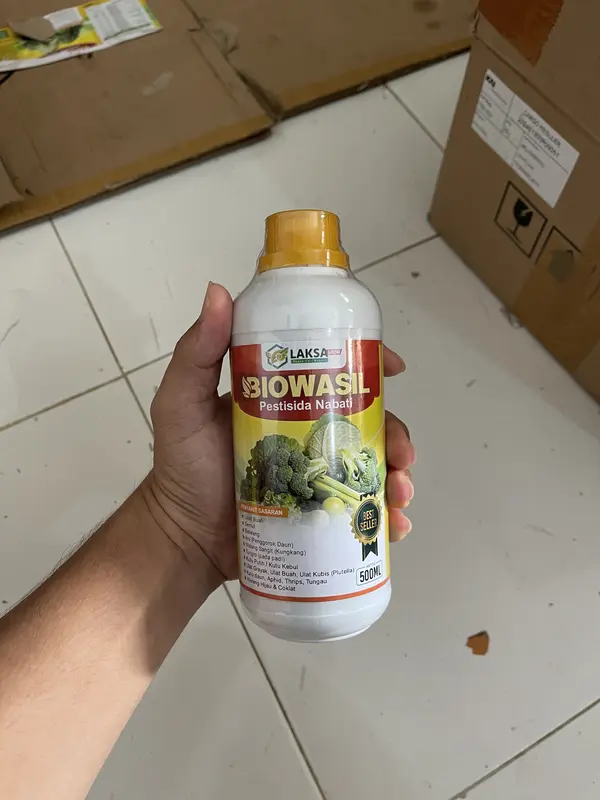 Pembasmi Hama Walang Sangit Pada Padi Paling Ampuh Biowasil Mampu Mengusir Hama Walang Sangit pada Tanaman Padi, Pupuk Pengendali Hama Walang Sangit Pada Padi Paling Ampuh dan Tokcer isi 500 ML 8
