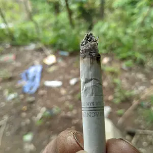 Jarum Organ DBx1 Mesin Jahit Industri Jarum 1 - Original JAPAN