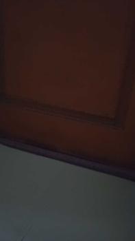 Product Review of MMM - COD Busa Foam Penutup Celah Lubang Bawah Pintu Penghalang Debu Binatang Kecil Serangga Anti Kecoa (BELI LOKAL) from b**y 0
