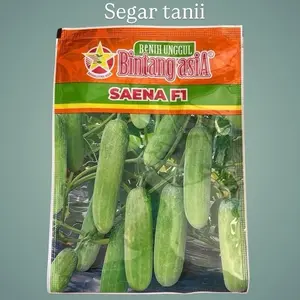 Bintang Asia Benih Unggul Saena F1 Timun Segar Kualitas Terbaik 20 gram untuk Taman dan Rumah Hasil Segar Berkualitas Tinggi bibit tanaman