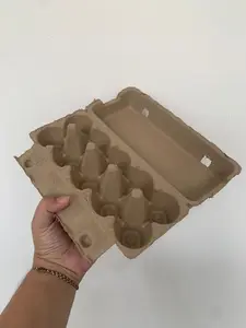 Paper Egg Box 10 Lubang Tray Egg Kotak Telur Bahan Kertas Karton Ramah Lingkungan 10 Butir Omega Tempat Telur Ada Pengunci Telor