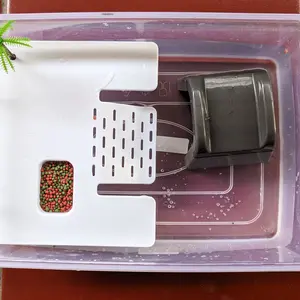 Nomoy Turtle Basking Dock Daratan Tempat Berjemur Kura Air Brazil