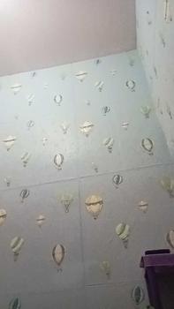 Product Review of WALLPAPER 3D FOAM (70X70CM) • BALON • High Quality from L**0 0