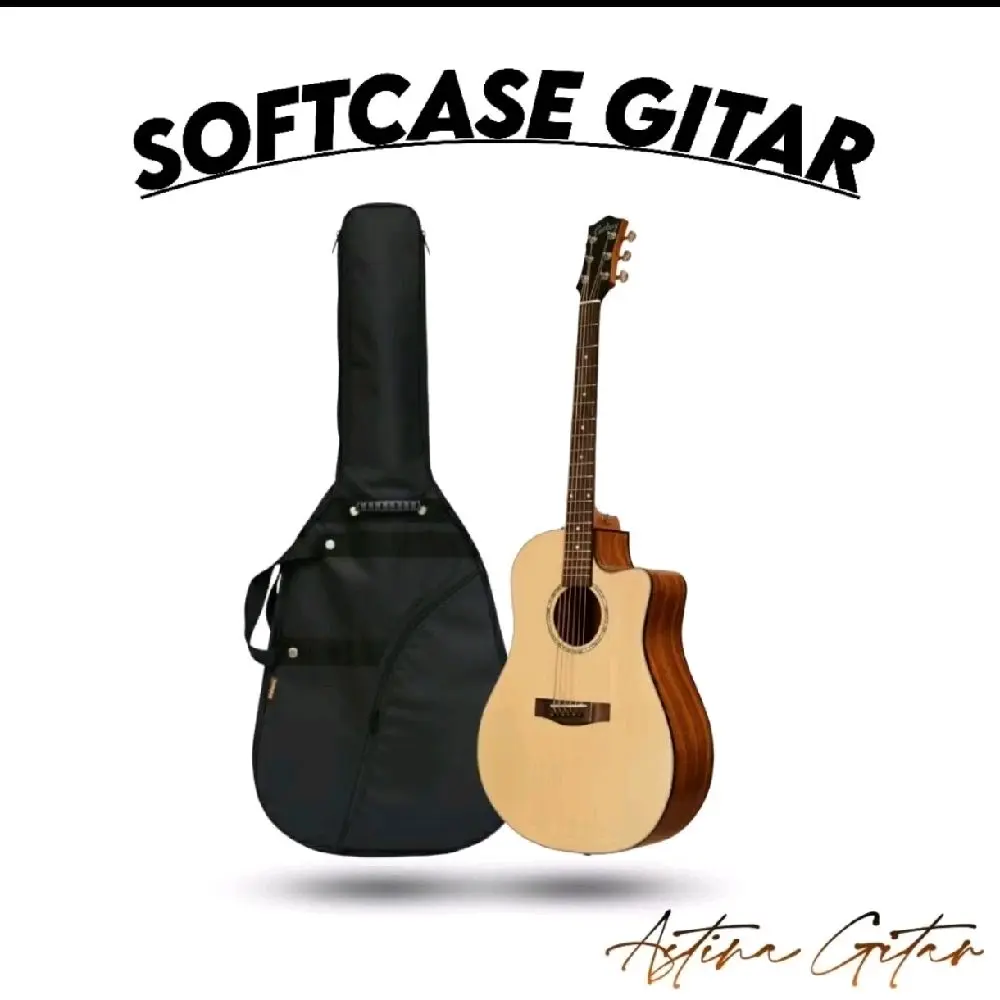 tas gitar berbagai macam variasi