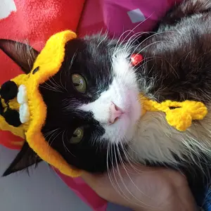 topi rajut kucing anjing kelinci bucket hat anjing kucing topi pororo viral