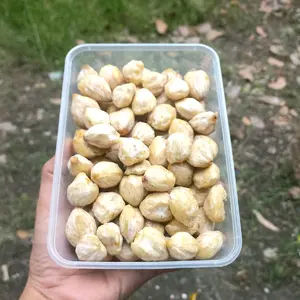 KEMIRI PECAH KUALITAS BAGUS TANPA KULIT