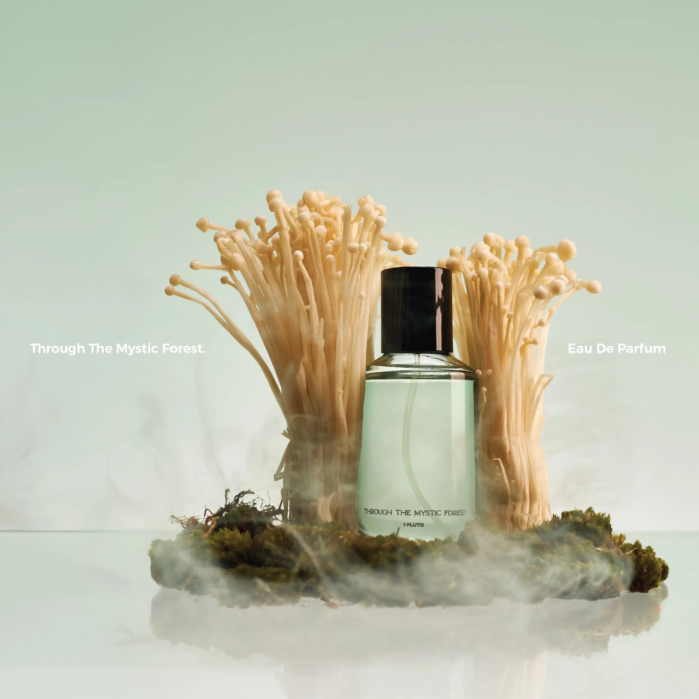 Scents OF Pluto Fragrance - Through The Mystic Forest | Eau De Parfum 50ml