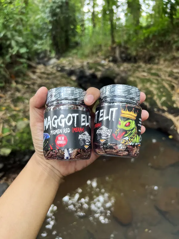 MAGGOT ELIT (Bos Bos Qu) PIGMEN RED 5