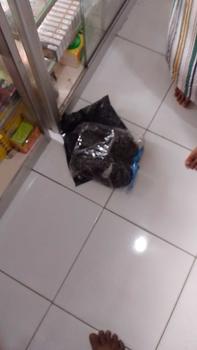 Product Review of Sandal Wanita Wedges Kepang Model Terbaru Termurah from a**h 0