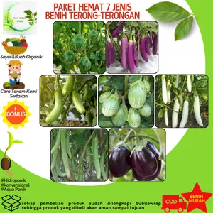 PAKET 7 JENIS BENIH TERONG-TERONGAN + BONUS