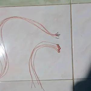 tali kaki burung kecil lengkap di sini