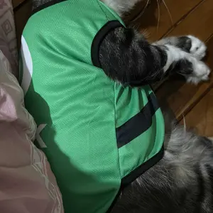 Baju Kucing Lucu Murah Motif Gojek Cowo Cewe Jantan Betina Aksesoris Hewan Kecil