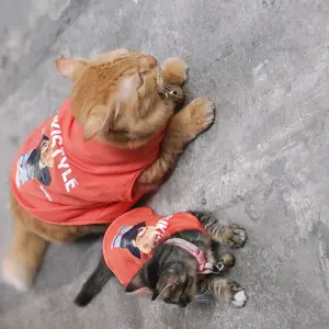 baju kucing lucu gemoy murah aksesoris hewan peliharaan - TANK TEDDY HYPE STYLE SERIES