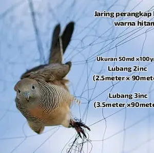 jaring perangkap burung warna hitam pekat asli pabrik