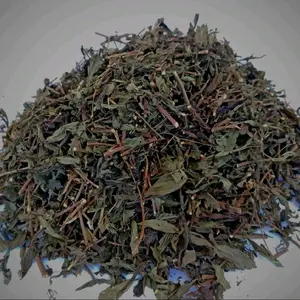 Kumis Kucing Asli Herbal Alami Bantu Atasi Batu Ginjal & Anyang-Anyangan 250gram