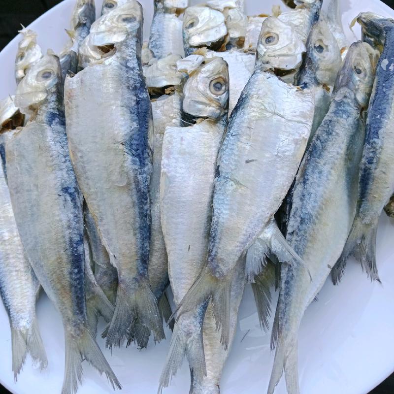 Ikan Tamban bot kurang masin (500g) - TikTok Shop Malaysia