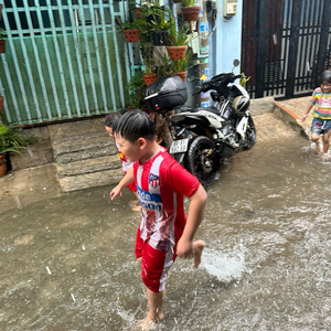 Cây cảnh đẹp sài gon mới