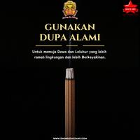 Gambar Zhong Jia Xiang Cap Kodok - Hio / Dupa Belimbing BC Ongsen 5 Jam - 15 Jam Isi 15 Batang  / Untuk Sembahyang / Aromatherapy / Pengharum Ruangan / Wangi / Ibadah - 50 cm (5 Jam), 3 Batang dari Zhong Jia Xiang Kota Administrasi Jakarta Barat 5 Tokopedia