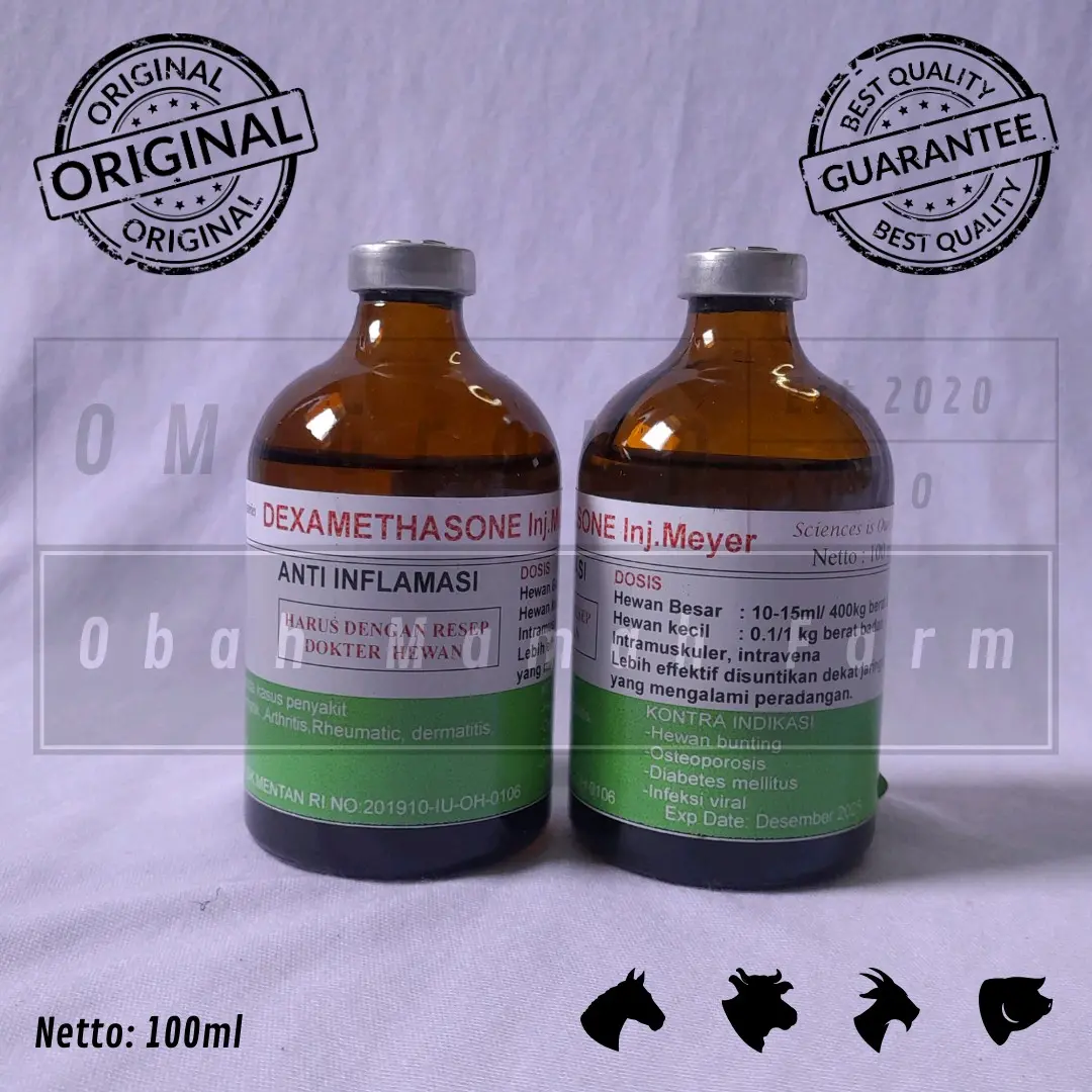 (Bisa Ecer) DEXAMETASONE Inj Anti Inflamasi radang/rhematik/shok