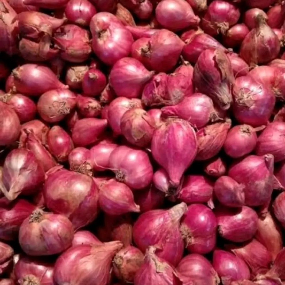 Mangkuk Isi Bawang Merah 1KG Kitchenware - Tempat Penyimpanan Kangkung - Mangkok dengan Roda