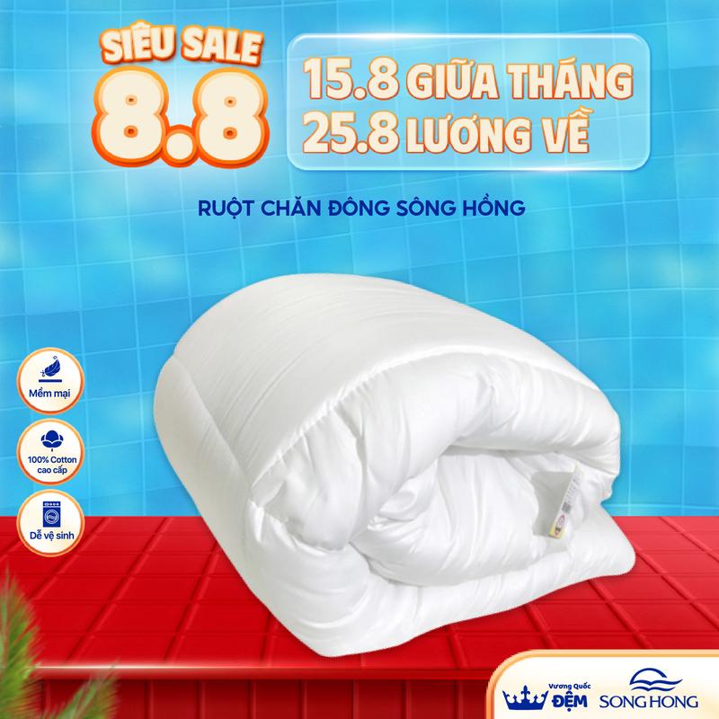 Ruột Chăn Đông Sông Hồng phân phối chính hãng tại Vương Quốc Đệm