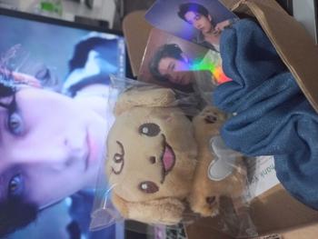 Product Review of [ENH] Unoff Enhypen Doll Plushie Jay Jake Heeseung Niki Jungwon Sunoo Sunghoon Boneka karakter Toys from s**🦈 0