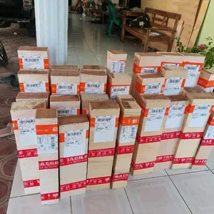 Tanaman bougenville spesial live 1kg Bunga