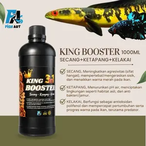 King Booster 1000ml 3in1 Cairan Black Alami Hasil dari Secang,Ketapang,Kelakai