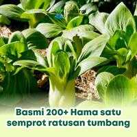 Gambar INFARM - Ekstrak Neem Oil ( Daun Mimba ) 125 Ml Pembasmi Hama Pestisida Alami Organik  Anti Gulma Nutrisi Pestnab Minyak Mimba Pengendali Serangga Tanaman Anti Semut, Kutu Putih, Jamur Basmi Kumbang - Warna dari Infarm Kota Surabaya 4 Tokopedia