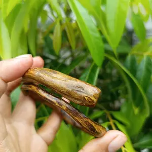 Gelang Akar Bahar Serat emas original