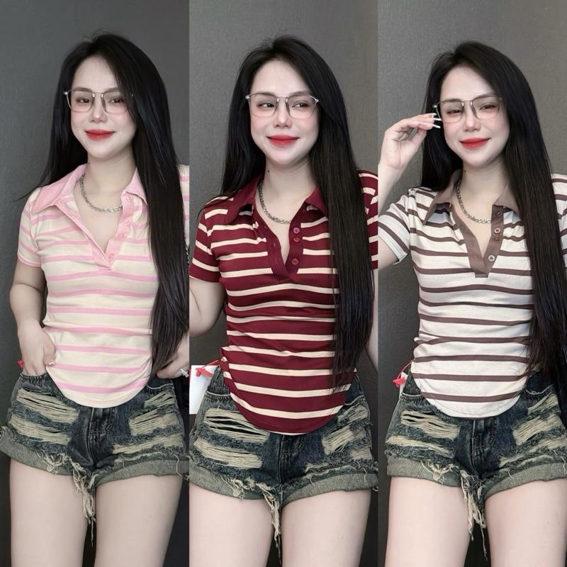Áo thun nữ Pô Lô sọc PHOM ÔM vạt bầu cài cúc ( Pô Lô Sọc lớn 2408 )  Polo Top Women