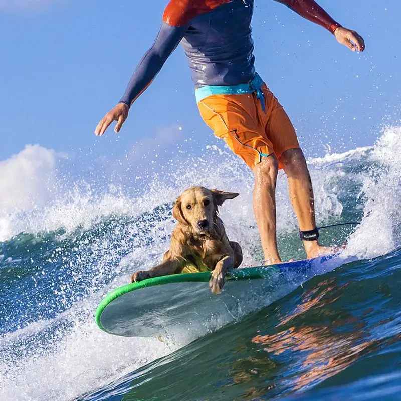 Leash Surfboard 7ft 9ft Tali Papan Selancar Leash Tali Pedal Kaki Tali Papan Surfing 7