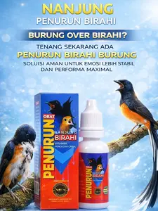 NANJUNG POWER - VITAMIN PENURUN BIRAHI BURUNG - OBAT PENURUN BIRAHI BURUNG - VITAMIN BURUNG AGAR TIDAK OVER BIRAHI - OBAT BURUNG CABUT BULU - VITAMIN BURUNG MENCEGAH CABUT BULU - OBAT BURUNG STRE CABUT BULU - OBAT BURUNG BIRAHI TINGGI - 10 MILI