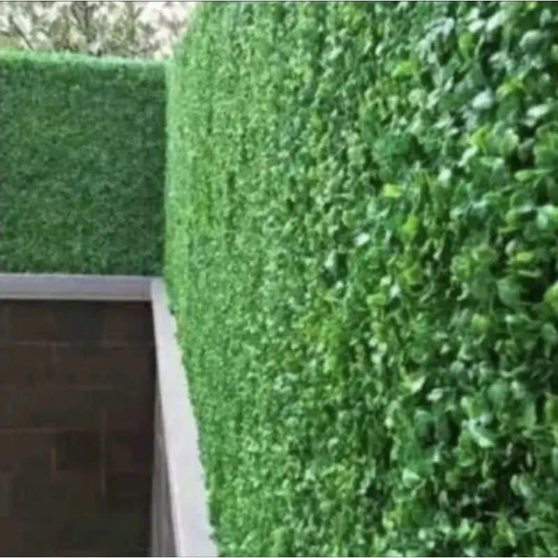 Rumput Dinding Ukuran 100*300CM /Daun Dollar Plastik Sintetis Vertical Garden / hiasan Cafe Alami/ pernikahan /import /artificial / hiasan Hijau Semangka Tanaman 8