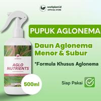 Gambar Workplant - Aglo Nutrients Pupuk Aglonema Tanaman Hias Nutrisi Multivitamin Siap Pakai 500ml Aglonema Subur Daun Menor Tunas Aglonema Tumbuh Lebih Cepat dari workplant official Kota Surabaya 1 Tokopedia