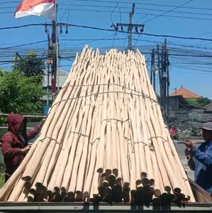 KAYU GALAM KALIMANTAN, KAYU GALAM MURAH BERKUALITAS.