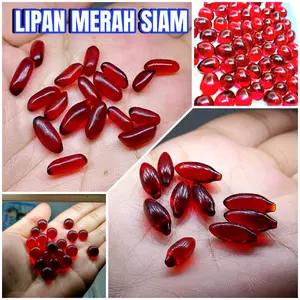 BATU AKIK LIPAN MERAH SIEM / MERAH DELIMA / batu akik murah