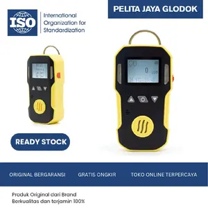 BOSEAN BH-90A-PH3 Portable Gas Detector