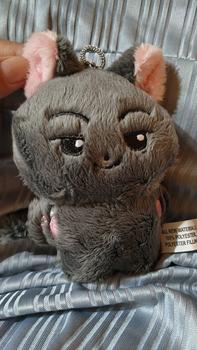 Product Review of Plushie Keyring Doll Enhypen from i**💜 0