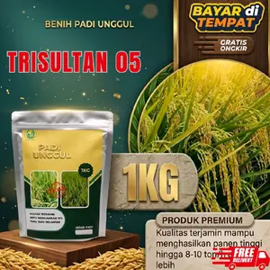 Benih Padi Unggul Trisultan 05 Original Kemasan 1kg