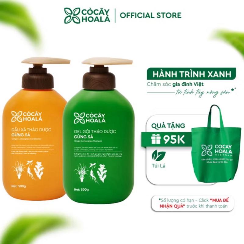  Dầu Gội Xả Thảo Dược  Gừng Sả Cỏ Cây Hoa Lá Bộ Dầu Gội Xả Hỗ Trợ Tóc Dầu Bết Giảm Gãy Rụng Giúp Mọc Tóc Hiệu Quả Chai 500g 1000g daugoi cap dau hoatra goixa 2in1 daucap chinhhang 
