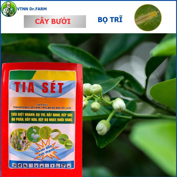 Combo 10 Gói TIA SÉT 15g - Bảo vệ cây trồng, quản lý bọ trĩ, rầy xanh 3