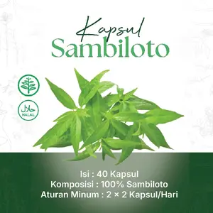 KAPSUL DAUN SAMBILOTO | HALAL | HERBAL
