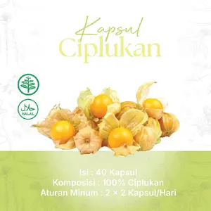 KAPSUL BUAH CIPLUKAN | HERBAL | HALAL