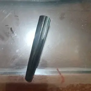 Batu Giok Dark Blue Lumut Nephrite Jade Original Asli Aceh Bulat Pipih Full Tembus