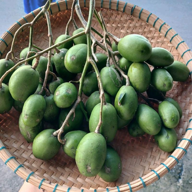 Cóc Thái Non Vị Chua - Kèm Muối Ớt