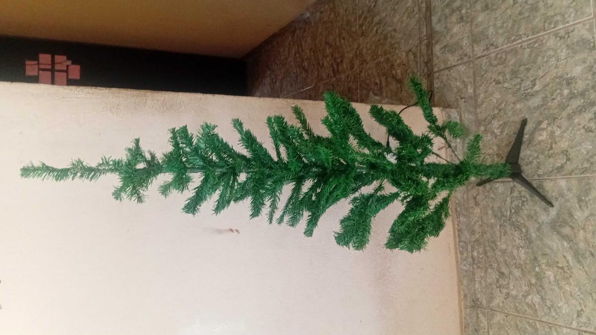 Imagem da avaliação