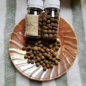 Manjakani Wanita Khas Madura Produk Asli dari Madura Rapet Wangi dengan Kualitas Terbaik